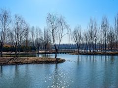 -东郊湿地公园