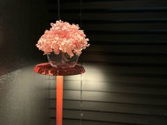 -顶特勒·黄鱼馆·特色菜(上海大世界店)