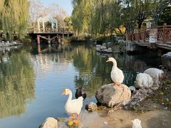 -天毓山庄·餐厅