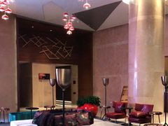 -南京禄口机场雅高铂尔曼大酒店