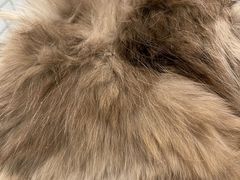 -熊小胖宠物生活馆(天华园店)