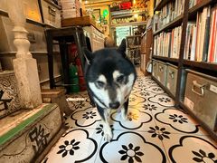 -大水的店(昙华林店)