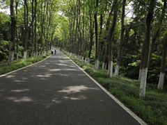 -宜兴龙背山森林公园