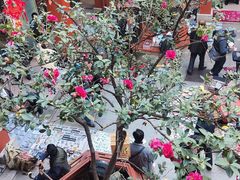 -云南古玩城(护国路店)