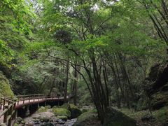 -牛背梁国家森林公园