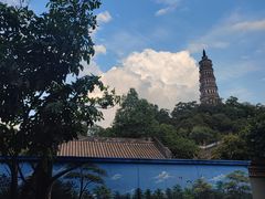 -顺峰山公园