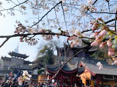 -南京城墙景区