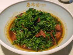 金花菜蚌肉-金典银峰老鹅馆·昆山菜(亭林公园店)