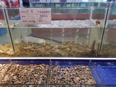 海鲜-海鲜城大家餐厅