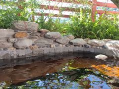 -东山湖温泉度假村