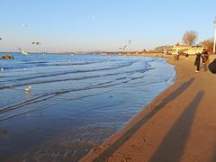 -老虎石海上公园