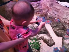 -沈阳海洋探索中心