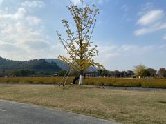 -径山花海