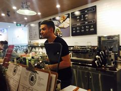 -油梨树 AVOCADO TREE(亮马桥店)