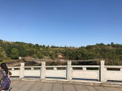 -中国西峡恐龙遗迹园