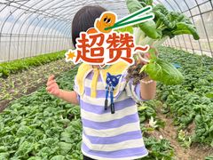 -菊园百果园