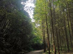 -小格里自然风景区