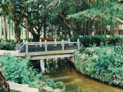 -荔枝公园(福田区)