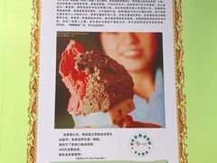 -柠檬车露(卖草地店)
