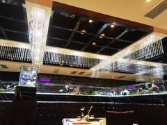 -红辣椒·川菜·火锅(张杨路店)