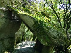 -山王坪喀斯特国家生态公园