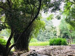 -成都市活水公园