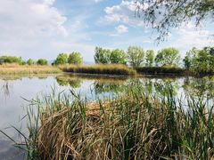 -野鸭湖国家湿地公园