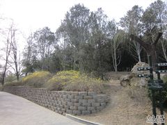 -紫竹院公园冰场