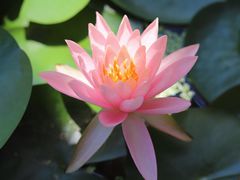-厦门园林博览苑
