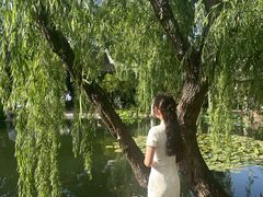 -暮晚尘香汉服旗袍