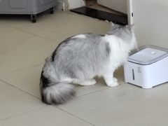 -怪兽屋·羊驼·猫咖·狗咖(俊华广场店)