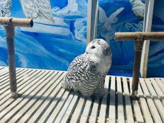 -成都浩海立方海洋公园