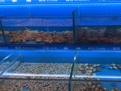 -太湖饭店玉兰厅(自助餐厅)