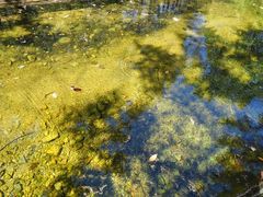 -洛阳白云山景区