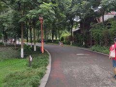 -眉山湿地公园(东坡区)