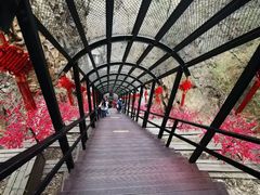-京东石林峡风景区