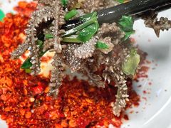 -周记翘脚牛肉