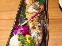 -有喜屋·鲜鸡烧鸟·居酒屋(安龙路店)