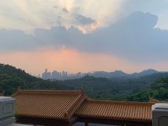-深圳仙湖植物园