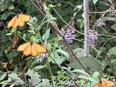 -东天目山风景区