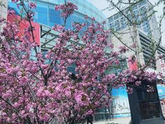 -方恒购物中心(望京小街店)