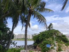 -碧桂园十里银滩