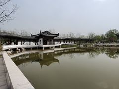 -上海滨江森林公园