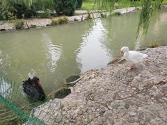 -兴芮温泉度假区