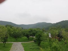 -龙寺生态园