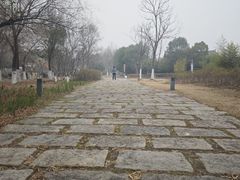 -武汉园博园(武汉自然博物馆)