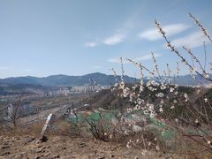 -红光山