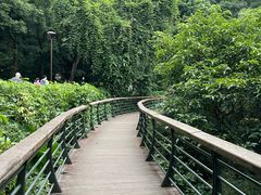 -深圳仙湖植物园