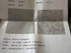 -派美特宠物医院·核磁CT·骨科肿瘤·疑难转诊(沈农禾丰店)