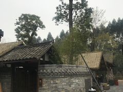 -秀丽东方